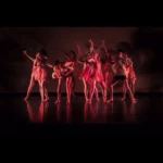 The College Of Dance